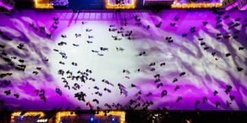 Esports in the US: Competitive Gaming's Rise to Mainstream Entertainment - Cover Image