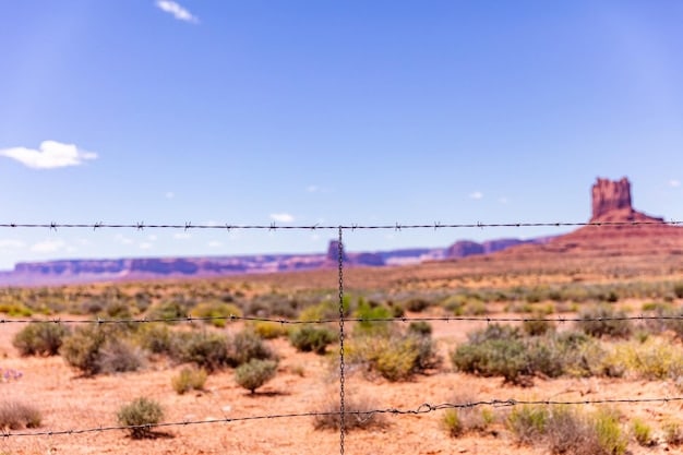 How SCOTUS Immigration Ruling Could Redefine US Border Security
