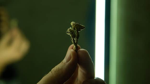 A close-up shot of a hand holding a seedling with a factory emitting smoke in the blurred background. This symbolizes the balance between environmental conservation and industrial activities, emphasizing the potential effects of environmental regulations on future sustainability.