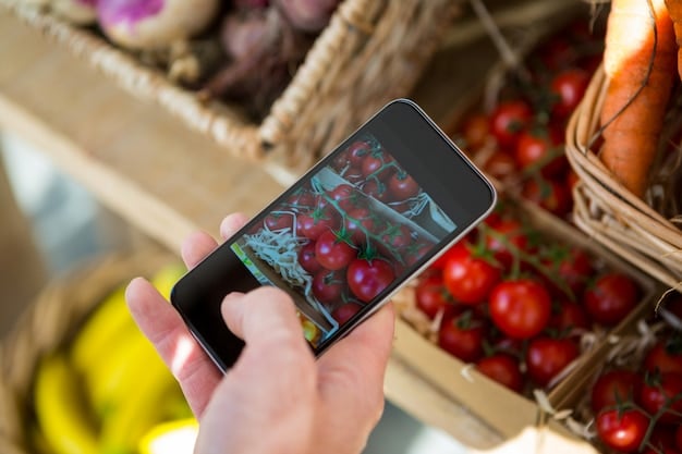A photograph of a person using SNAP benefits at a farmers market, showcasing the program's impact on access to fresh and local produce.